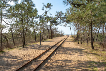Fototapeta premium Narrow-gauge railway of Saint-Trojan-les-Bains, France