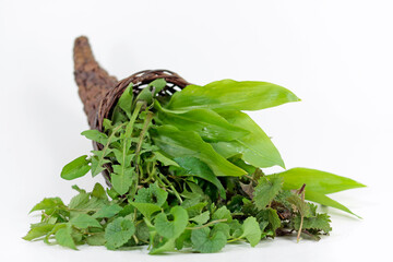 wild herbs in the cornucopia 