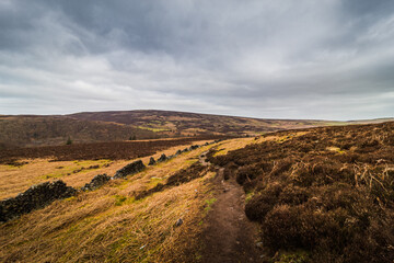 Morning trek in Peak District Brandord Edge National Park 2021 April