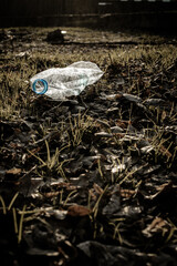 Plastic bottle. Waste garbage in forest and environment. Trash rubbish in woodland. Save nature Ecology and pollution concept.