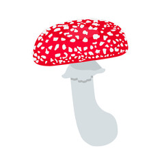 Vector clip art illustration fly agaric mushroom flat color. Poisonous fungi. illustration for design, print