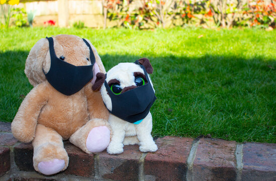 Lochdown Soft Concept With Stuffed Toys Wearing Black Face Covering While Sitting In A Back Garden In A Sunny Day During Lookdown, Staycation, Stay Home Concept, COVID-19. Virus,