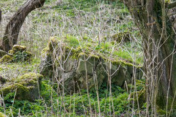 Ancient Ruins of the old court yard walls of Craigie Castle South Ayrshire Scotland