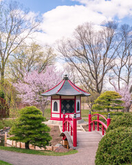 Japanese garden at a sunny spring time
