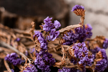 bunch of lavender