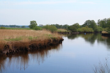 Fototapeta premium Cottages and rural houses in Bremen Blockland, Germany /Landhäuser im Blockland, Bremen