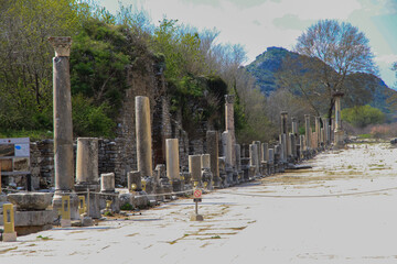Ephesus; Ancient Greek city 