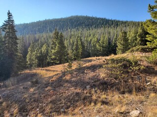 autumn in the mountains