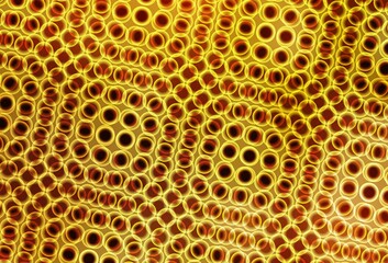 Dark Yellow vector background with bubbles.