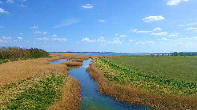 Stream and field