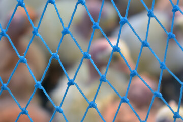 Fototapeta premium Closeup shot of a blue range chicken netting on a blurred background
