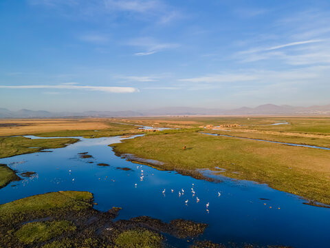 Many Pink Flamingos Flying Above A Wetland, Top View, In Kayseri City