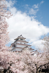 満開の桜と会津若松鶴ヶ城
