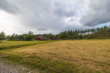 Fototapeta na wymiar Beautiful summer nature landscape view. Green grass field on front nature landscape view. Sweden.