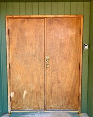 old wooden door with green wall