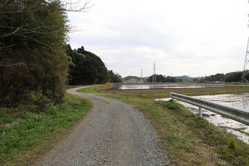 田んぼ