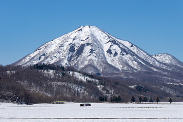 北海道の初春の羊蹄山の風景