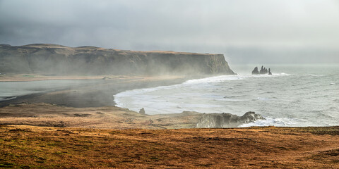 Rock formation on a black volcanic beach at Dyrholaey, Iceland