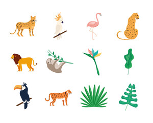 Obraz premium eight tropical animals