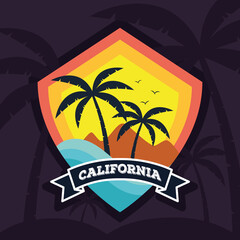 surf california patch