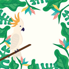 ara in tropical frame © Gstudio