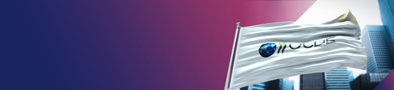 OCDE Flag with City and large Gradient  Single Flag 
