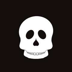skull illustration 