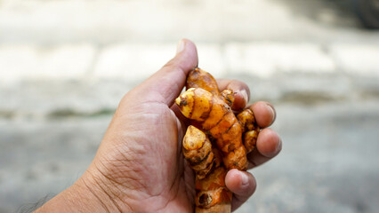 Close up of turmeric