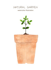 鉢植えの水彩画 Watercolor paintied flower pot with green plant