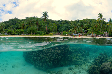 plage et coraux de bora bora - polynesie francaise