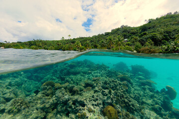 Fototapeta na wymiar plage et coraux de bora bora - polynesie francaise