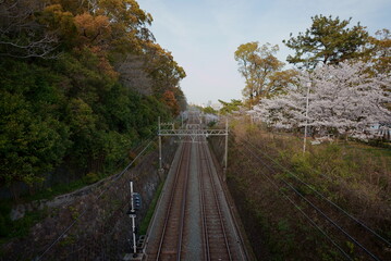 街につながる線路