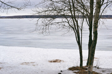 Wildlife spring landscape on cloudy spring day. Pond in early spring. Coastline with wet melting snow and bare trees. The lake is covered with melting ice and snow.