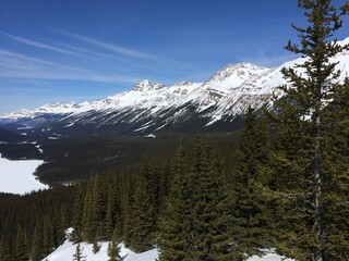 Spectacular view of the Icefield Parkway 