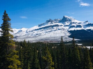 Spectacular view of the Icefield Parkway 