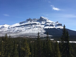 Spectacular view of the Icefield Parkway 