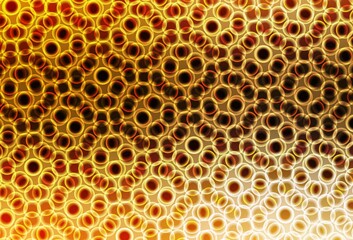 Light Orange vector background with bubbles.