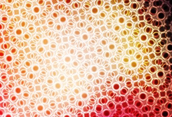 Light Pink, Yellow vector layout with circle shapes.