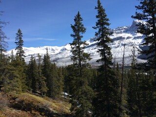 Spectacular view of the Icefield Parkway 