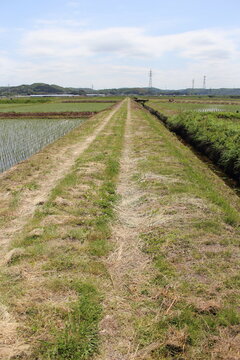 298 Best 未舗装道路 Images Stock Photos Vectors Adobe Stock