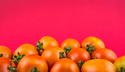 Stil life, tomatoes photography. Fresh ripe tomatoes with fluorescent magenta pink background. Head on shot, horizontal, food photography image style.
