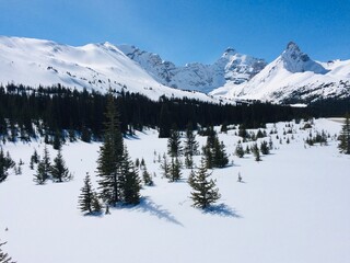 Spectacular view of the Icefield Parkway 