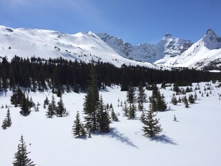 Spectacular view of the Icefield Parkway 