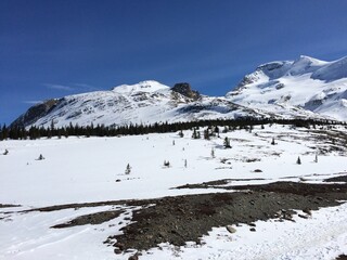 Fototapeta premium Spectacular view of the Icefield Parkway 