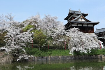 奈良県　大和郡山城
