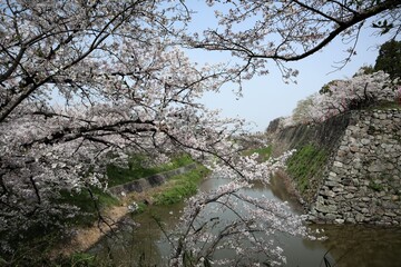 奈良県　大和郡山城