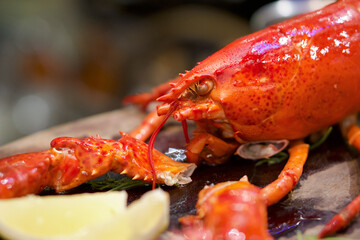 The whole lobster steamed, served with lemon on wooden plate. Close up