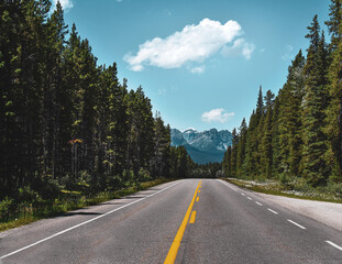 Fototapeta premium A road in on the way to Jasper in Alberta. 