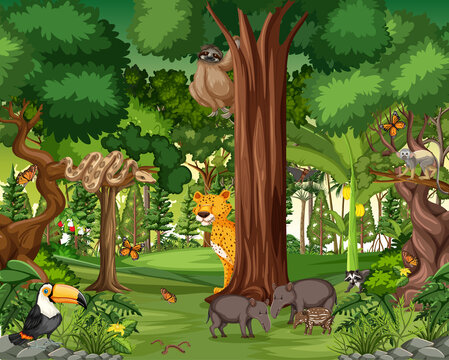 Rainforest scene with wild animals