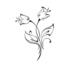 ornament 1705. two stylized bell flowers on stems with leaves and curls in black lines on a white background